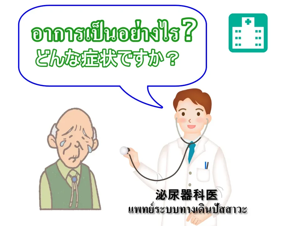 泌尿器（尿）にまつわるタイ語を知ってますか？